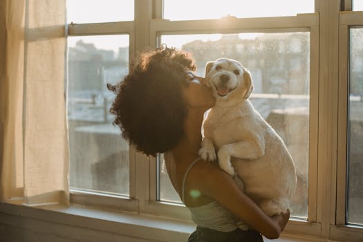 happy hunting dog with owner