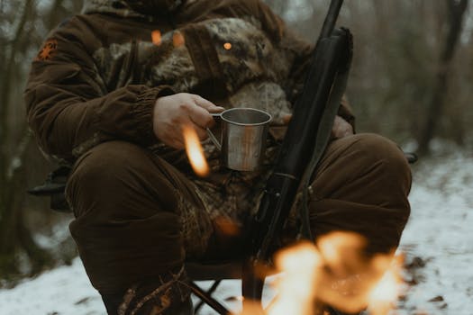 hunting dog exercising outdoors