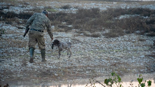 dog successfully retrieving a bird