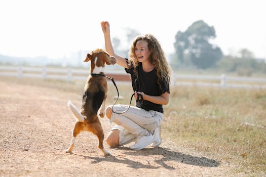 hunter training dog in field