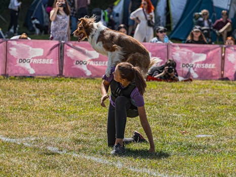 trainer guiding a dog in field exercises