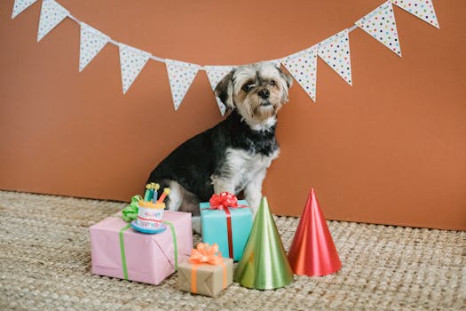 dog weaving through cones