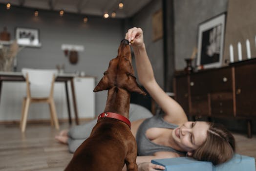 dog receiving a treat during training