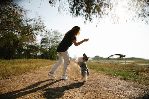 happy dog with its owner in the field