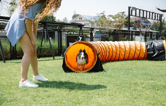 Hunter training a dog in the field