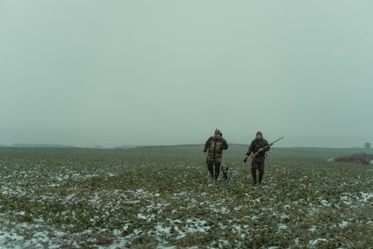 active hunting dog in the field