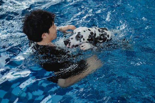 dog enjoying its training session