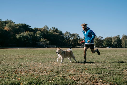 dogs training together with hunters