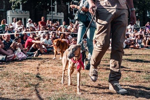 trainer showing techniques to a dog owner