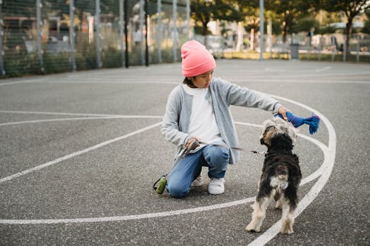 dog practicing stay command