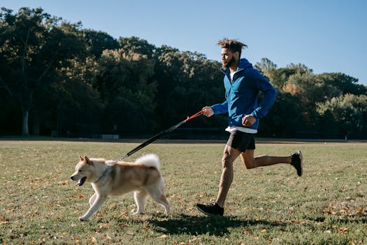 dog training in a field