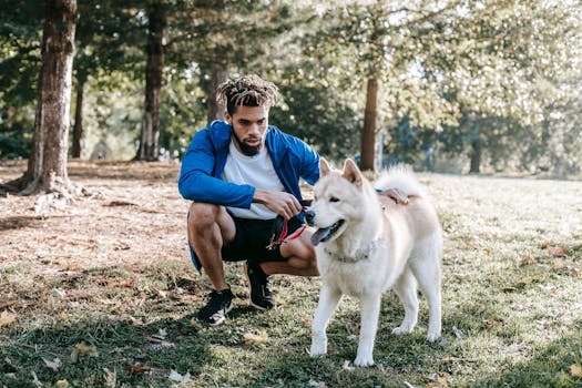 dog being trained with a leash