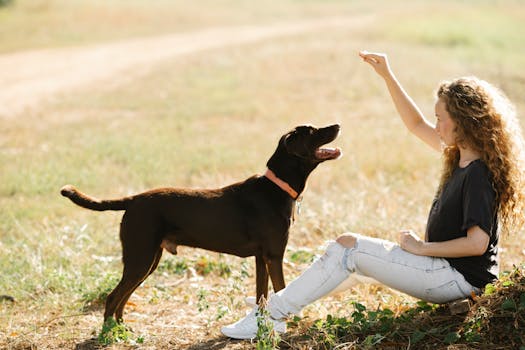 dog receiving a treat during training