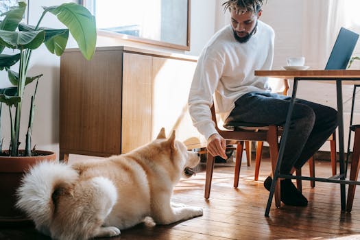 trainer working with dog